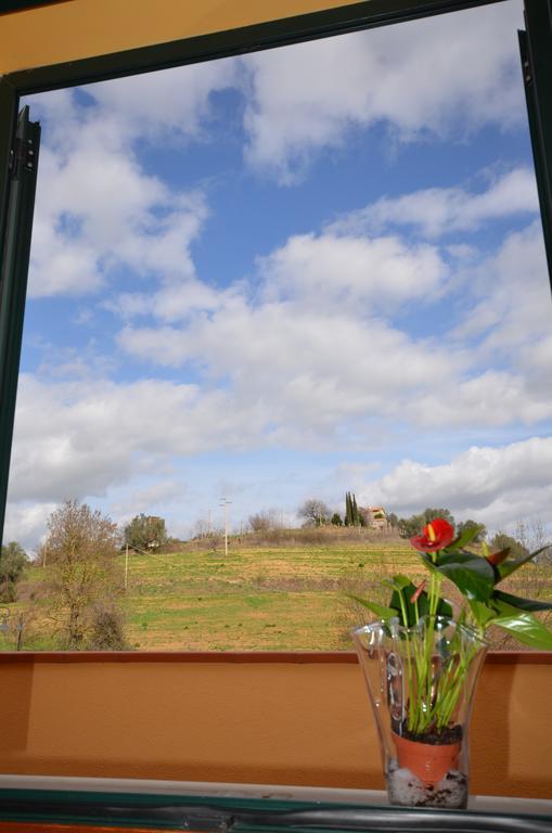 8380 Camere Mastro Montemerano Eksteriør bilde